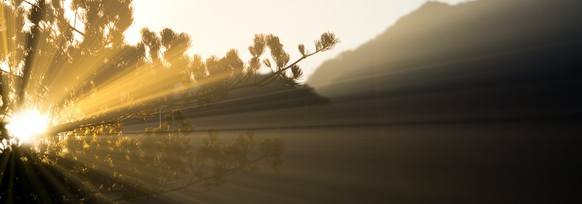 How to Choose the Best Reiki Practitioner for You | Dragonfly Reiki Marketplace