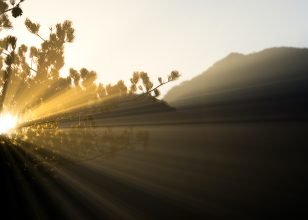 How to Choose the Best Reiki Practitioner for You | Dragonfly Reiki Marketplace