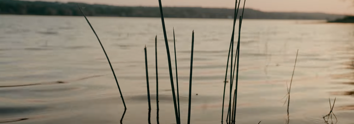 Clearing The Way To Prosperity: Dissolving Reiki Business Blocks