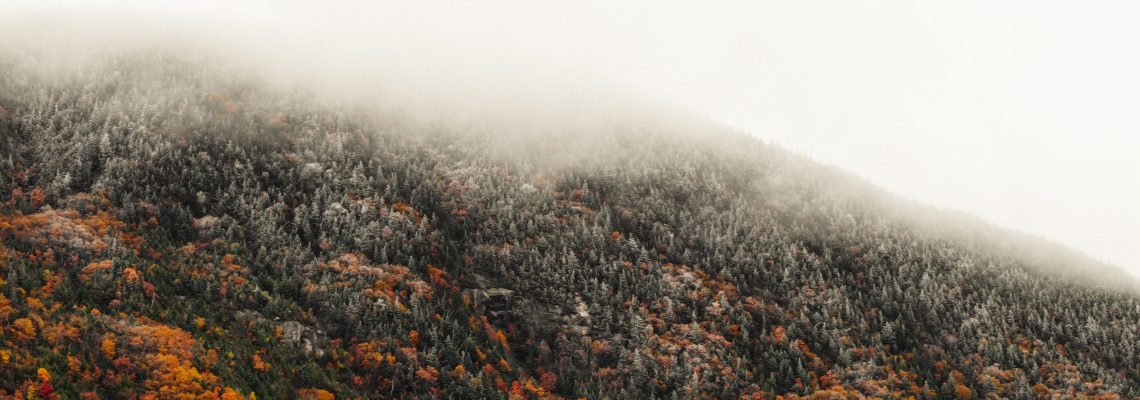 Dissolving Limiting Beliefs in Your Reiki Business Journey 