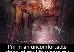 Grief 2 years in-to those that are new to the path