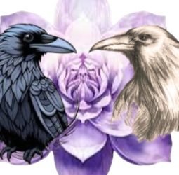 Raven