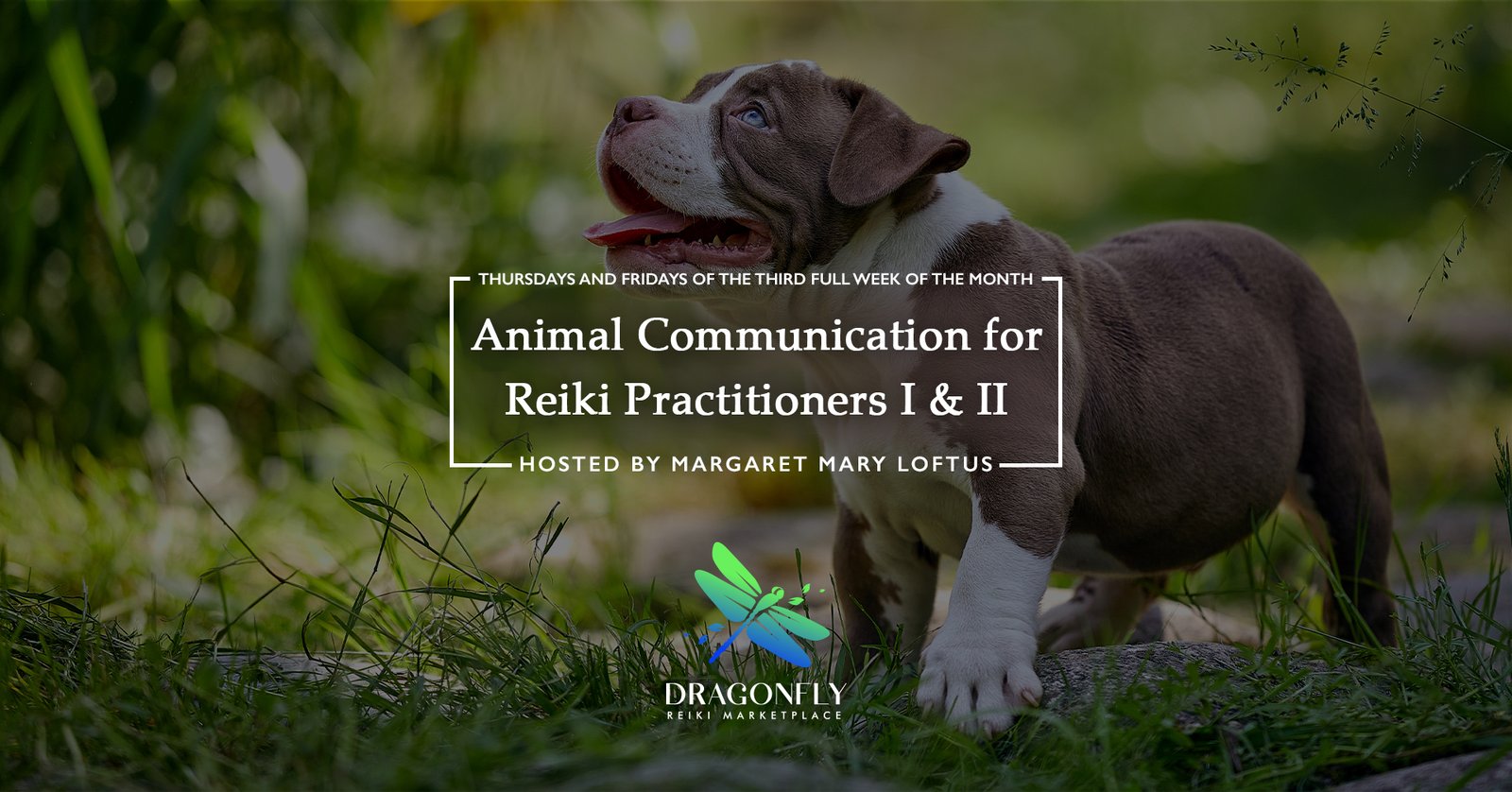 Animal Communication for Reiki Practitioners I & II