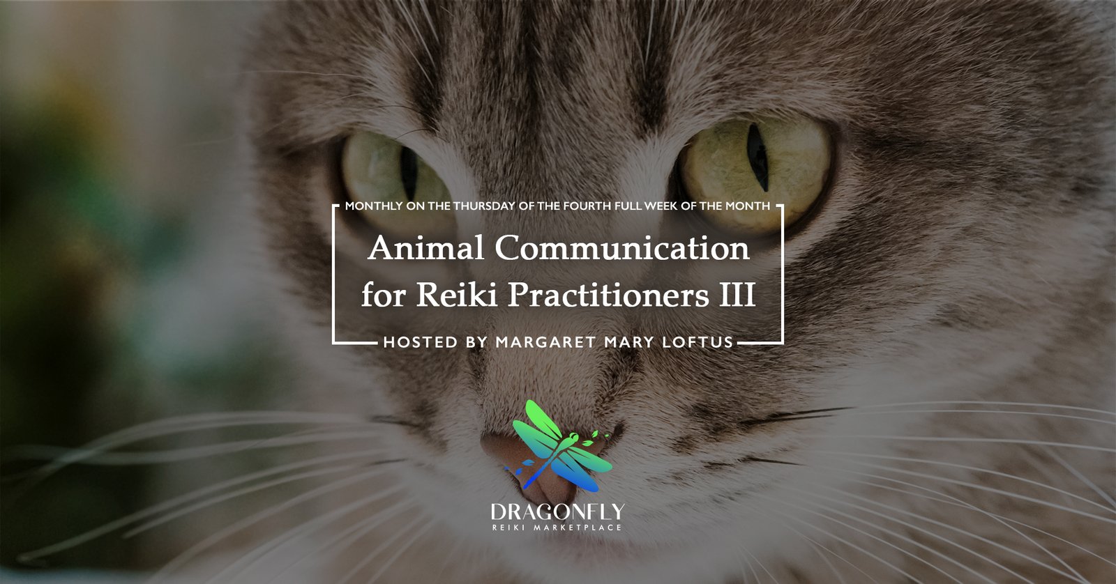 Animal Communication for Reiki Practitioners III hosted by Margaret Mary