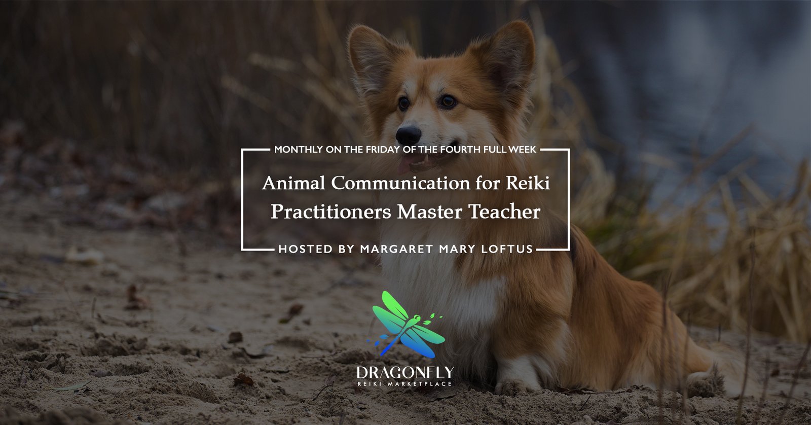 Animal Communication for Reiki Practitioners Master Teacher hosted by Margaret Mary Loftus