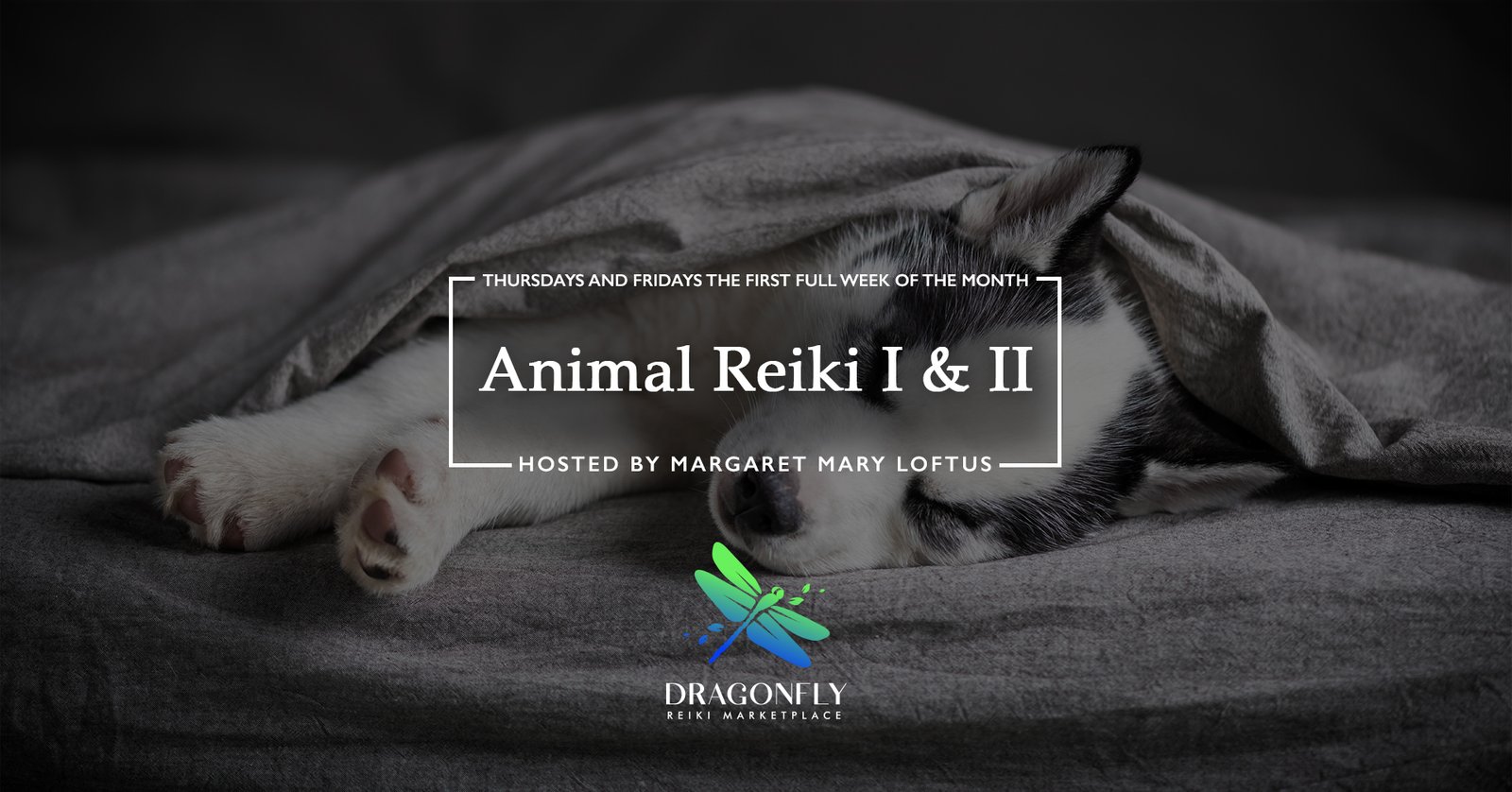 Animal Reiki I & II hosted by Margaret Mary Loftus