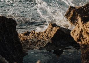 Twin Flame vs. Energy Vampire: How to Tell the Difference