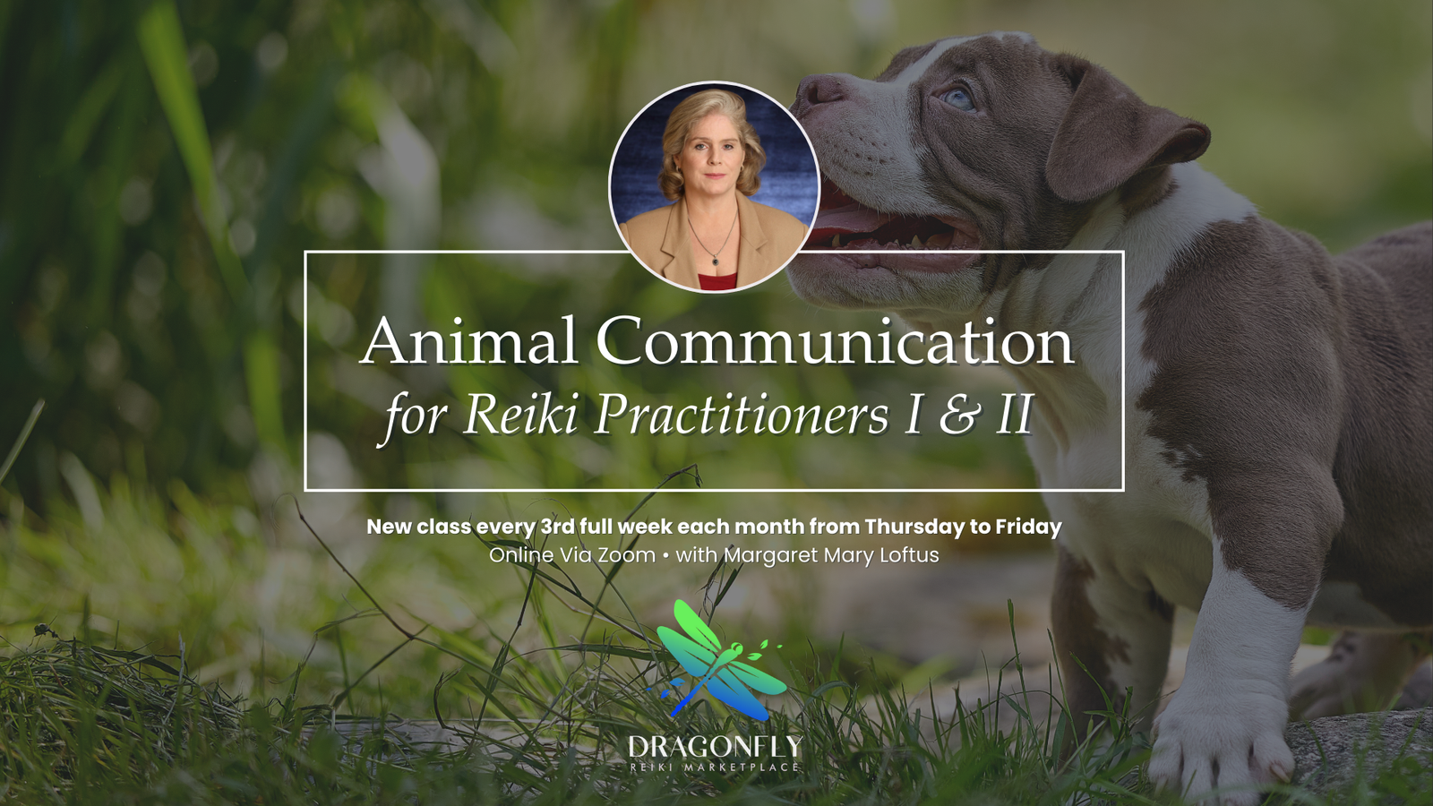 Animal Communication for Reiki Practitioners I & II